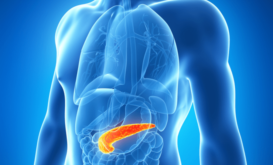 Χειρουργική Θεραπεία των Όγκων του Παγκρέατος
