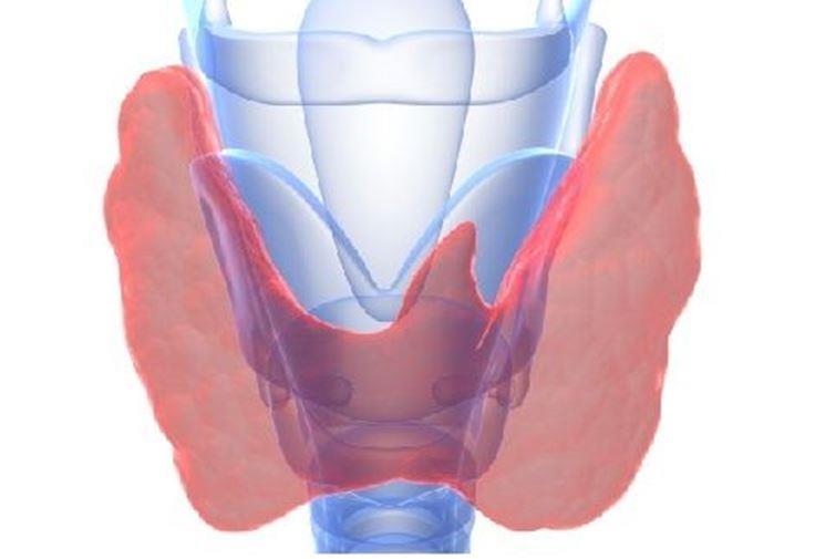 Θυρεοειδίτιδα