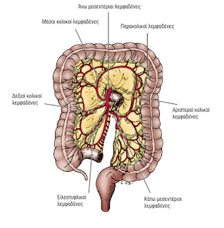 Χειρουργική Θεραπεία Καρκίνου Παχέος